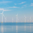Morska farma wiatrowa Fot. Polenergia