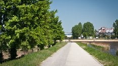 Już za kilka dni zrobi się zdecydowanie cieplej