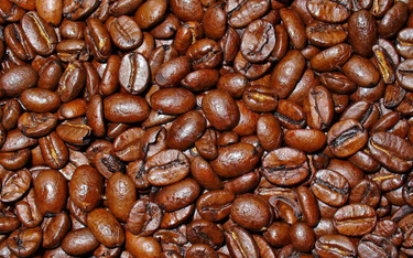 Naukowcy poznali genom kawy arabiki