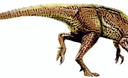 Wielkie i małe dinozaury żyły w krainie kangurów