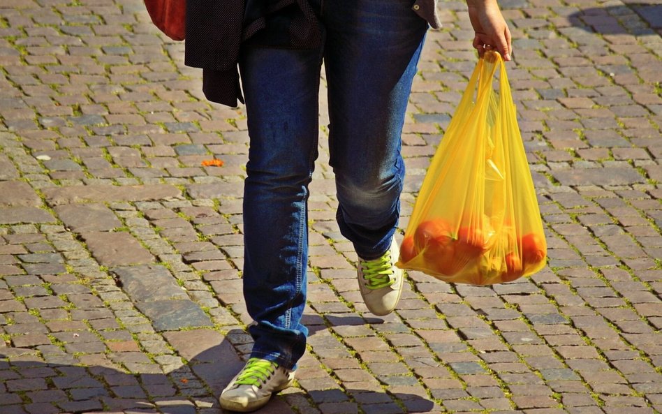 Nie tylko Wałbrzychowi marzy się wyrugowanie plastiku z miasta.