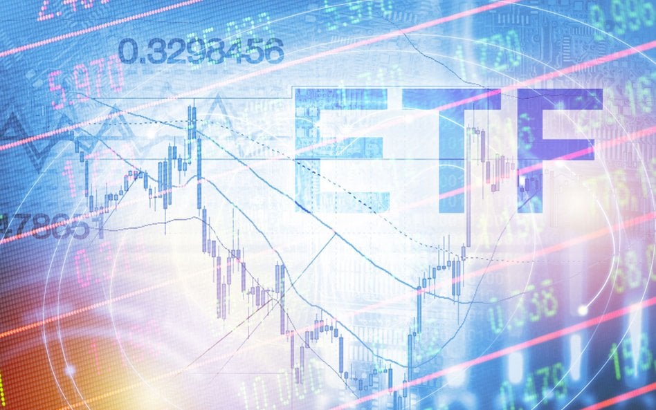 ETF-y chętnie wybierane na kontach emerytalnych