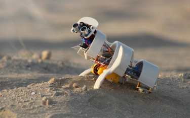 Miniaturowy robot może ożywić pustynię