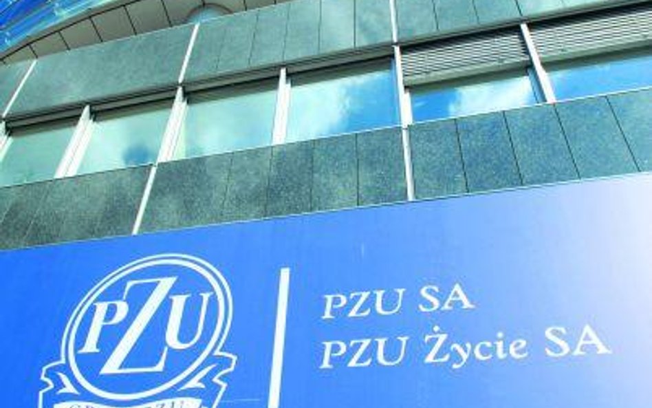 Według maklerów, oferta PZU ma szansę wywołać zainteresowanie porównywalne z prywatyzacją PKO BP.