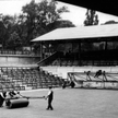 Walec przez 60 lat służył do ugniatania trawy na kortach Wimbledonu.