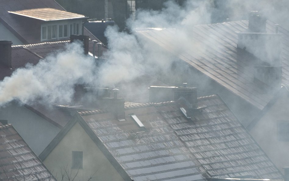 Po decyzji SN sprawy o smog zejdą bardziej na ziemię