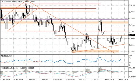 Wykres dzienny USDPLN