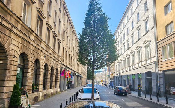 Klubowa ulica Śródmieścia z nową zielenią