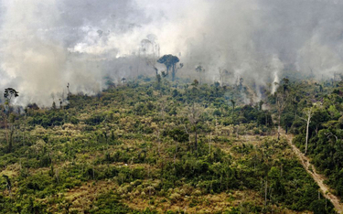 Szczyt G7: Blisko porozumienia ws. walki z pożarami w Amazonii