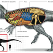 Ptasi oddech dinozaura z Argentyny