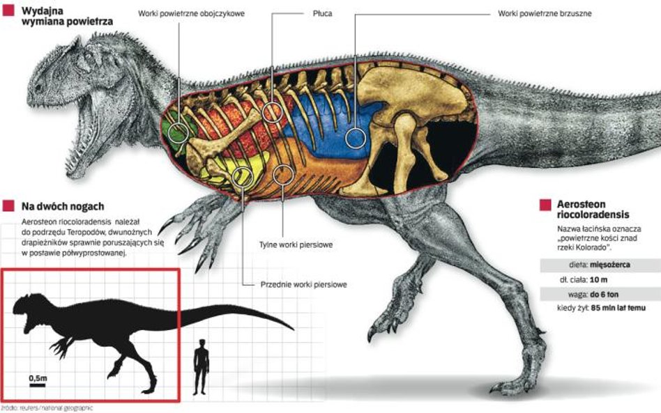Ptasi oddech dinozaura z Argentyny