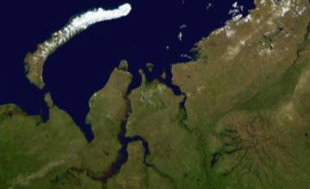 Naukowcy w strefie arktycznej odkryli zieleń z ciepłych stref