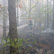 Pożar w Puszczy Kampinoskiej