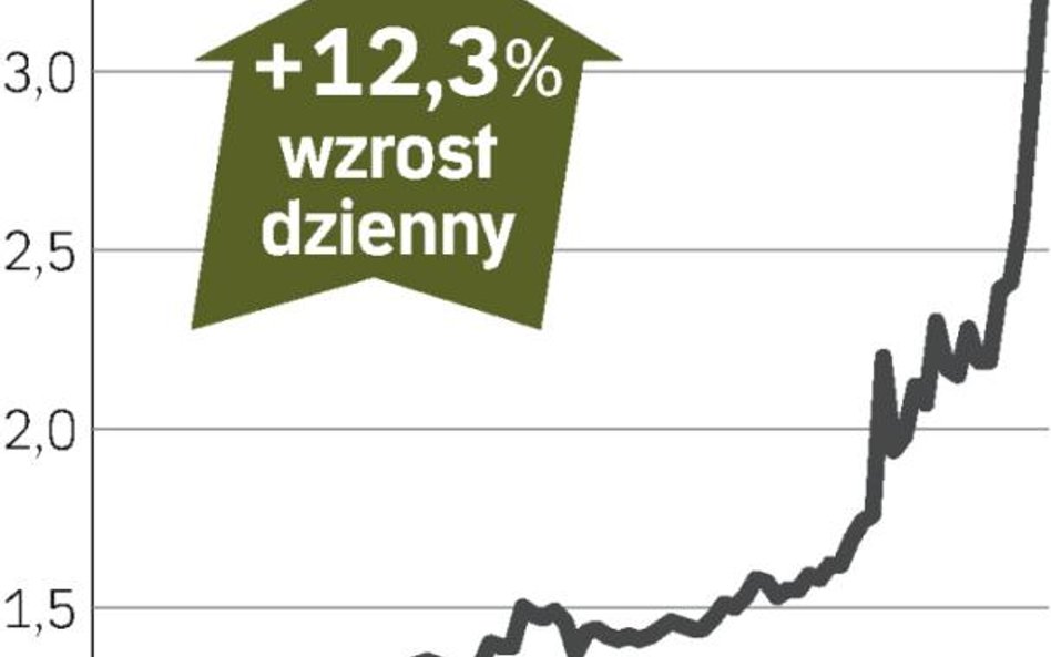 Optimus: akcje mocno drożeją