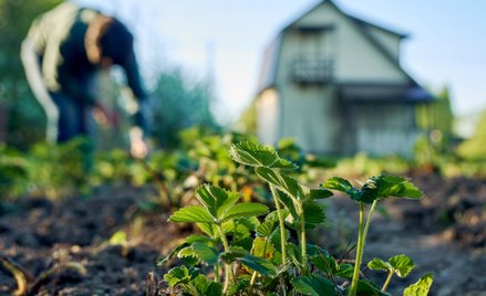 Rosja: Noszą wodę ze studni i palą w piecach