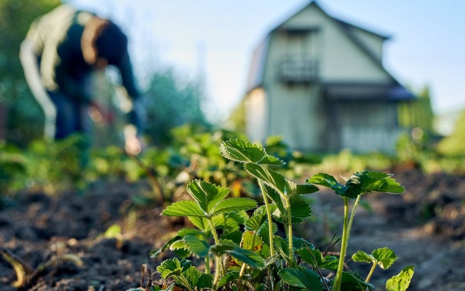 Rosja: Noszą wodę ze studni i palą w piecach