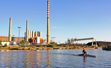 Kłopot z opodatkowaniem oleju