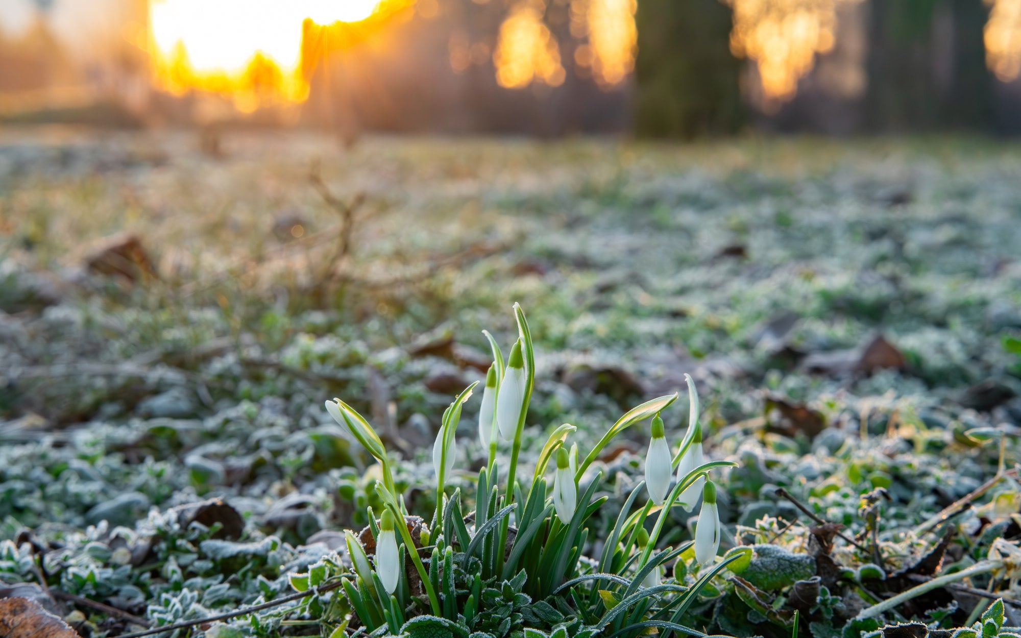 Arktyczne powietrze nad Polską. Czekają nas chłodne dni i nocne przymrozki