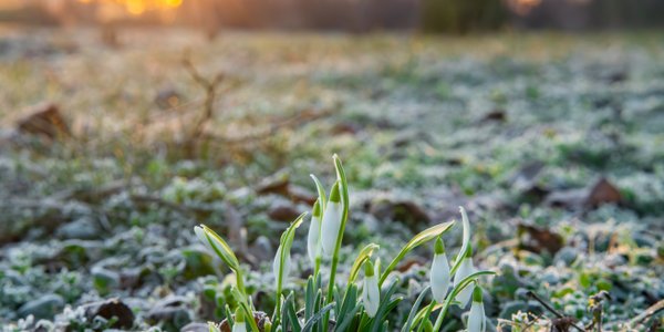 Arktyczne powietrze nad Polską. Czekają nas chłodne dni i nocne przymrozki