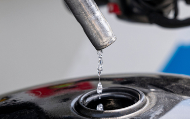 Spółka Dino Oil może szykować się do wejścia na detaliczny rynek tankowania paliw