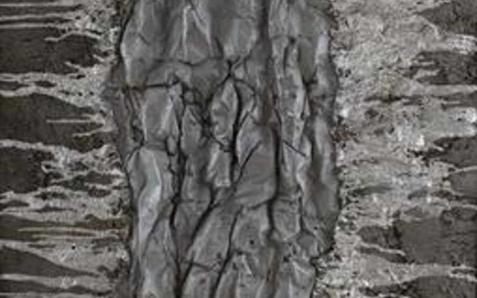 Wojciech Krakowski, Kompozycja abstrakcyjna II ażurowa, lata 60-te XX wieku technika mieszana wys. 1