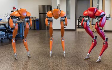 Robot świadomy swego „ciała”. Coraz bliżej humanoidów