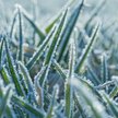 IMGW prognozuje spadek temperatury powietrza do około -2 stopni Celsjusza, przy gruncie do -5 st. C.