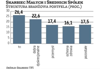 W Skarbcu Małych i Średnich Spółek w poprzednich miesiącach doszło do poważnych zmian w proporcjach.