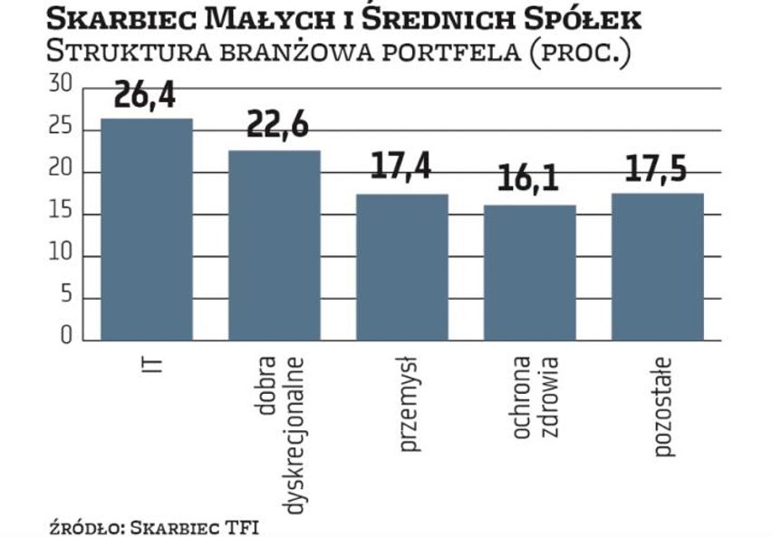 W Skarbcu Małych i Średnich Spółek w poprzednich miesiącach doszło do poważnych zmian w proporcjach.