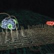 „Molekularny pająk” – nanorobot (oznaczony kolorem zielonym) wędruje po chodniku z DNA. Cel podróży 