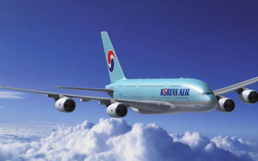 Zarzuty dla szefa Korean Air