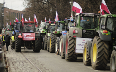 Protest polskich rolników we Wrocławiu