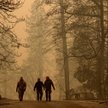 Kalifornia w ogniu. Spłonęło tysiące domów