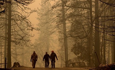 Kalifornia w ogniu. Spłonęło tysiące domów