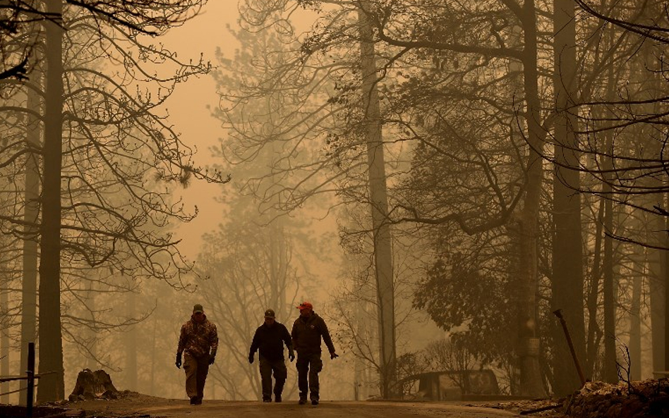 Kalifornia w ogniu. Spłonęło tysiące domów