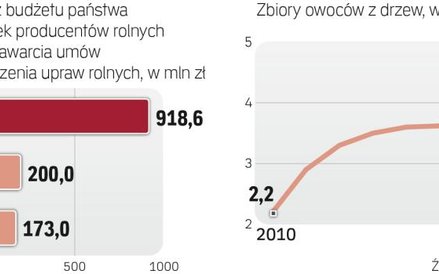 Zbiory i dotacje rosły