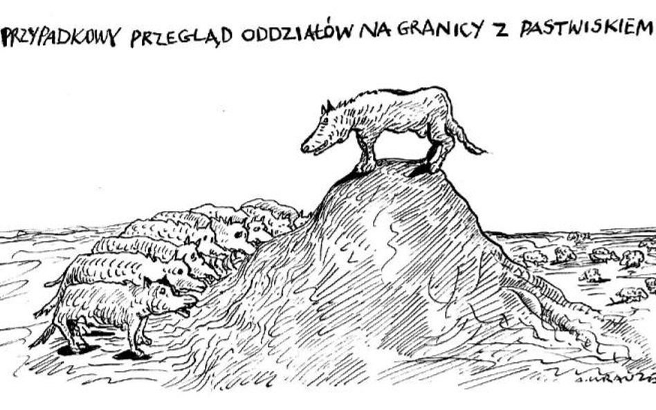 Komentarz rysunkowy. Przypadkowy przegląd oddziałów