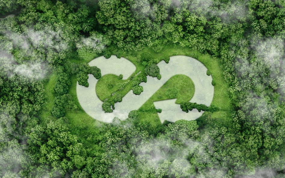 AI pomaga we wprowadzaniu OZE. Z zieloną energią stworzą duet przyszłości