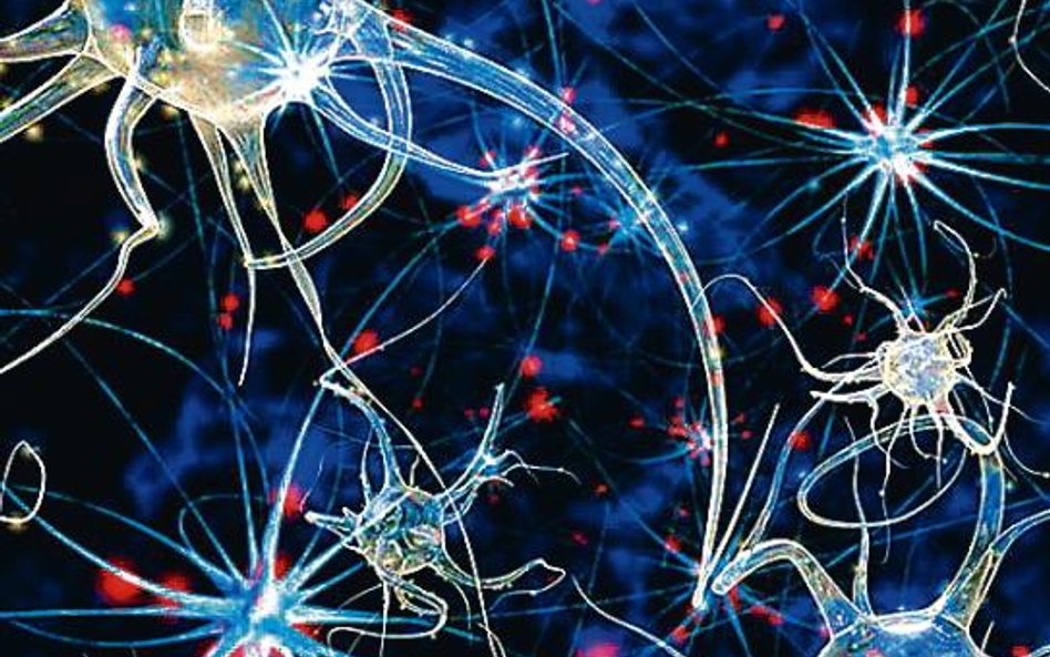 Impulsy lasera mogą wytłumić działanie neuronów