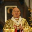 Kardynał Kazimierz Nycz