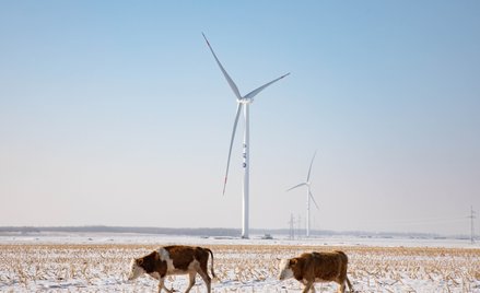 Jak chmura AWS zmienia energetykę? Sztuczna inteligencja zmienia zasady gry