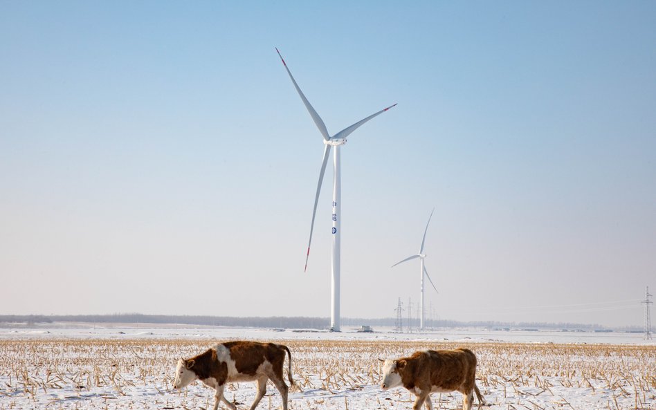 Jak chmura AWS zmienia energetykę? Sztuczna inteligencja zmienia zasady gry