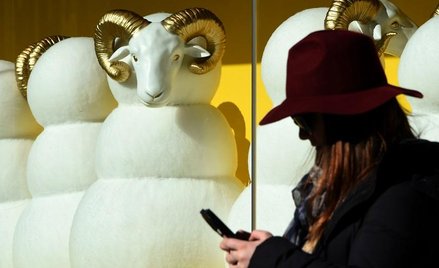 Badania plastyczności ludzkiego mózgu