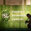 Analiza: Kim są dziś wyborcy PSL