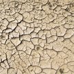 Prof. Aaron Ciechanover: Największym zagrożeniem są zmiany klimatyczne