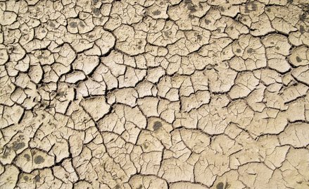 Prof. Aaron Ciechanover: Największym zagrożeniem są zmiany klimatyczne