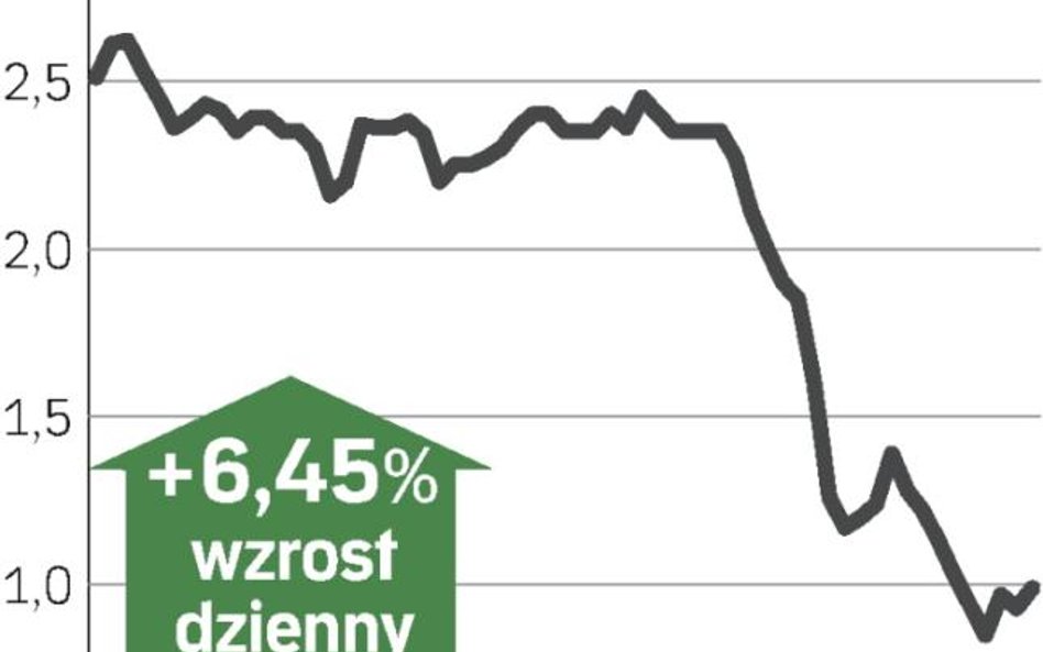Wojciech Kruk pomógł kursowi akcji