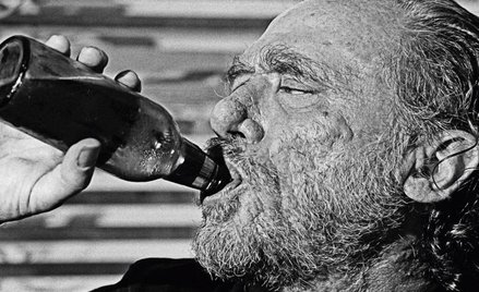 Zwierzenia starego świntucha