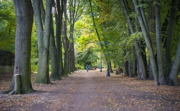 Jedna z alejek w parku Skaryszewskim, które czeka modernizacja