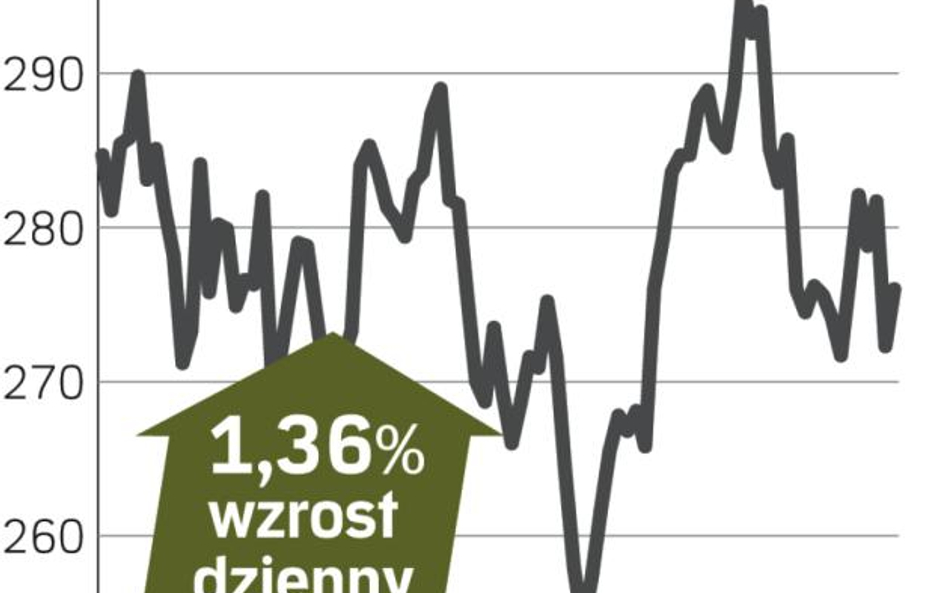 Kingfisher – spółka, o której się mówi w Londynie